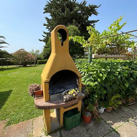 La Carlina Magliano in Toscana