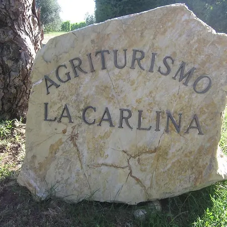 La Carlina * Magliano in Toscana