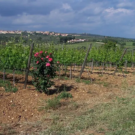 La Carlina Magliano in Toscana
